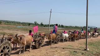 BRS bullock cort rally in vemanapally🛞🛞