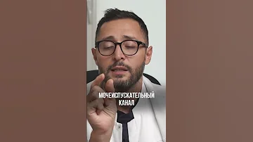 Почему появляется цистит #shorts