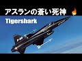 VoL18　アスランの蒼い死神　F-20 タイガーシャーク