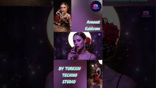 Arnavut Kaldırımı Flamenco Techno Remix Turkish Techno Studio
