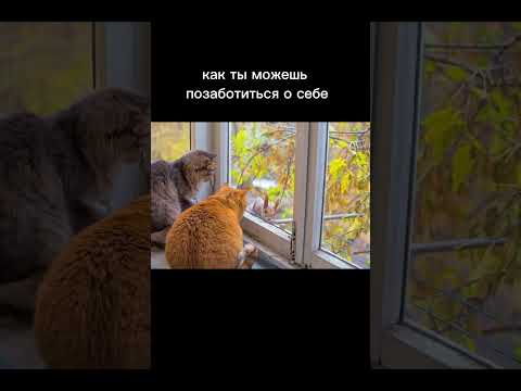 1. Детокс от