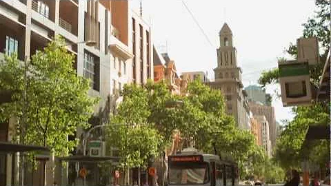 Melbourne's Urban Forest Strategy | City of Melbourne