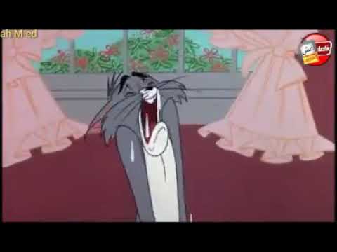 يا دنيا طفيطي شمعي عبد الباسط حالة واتس 