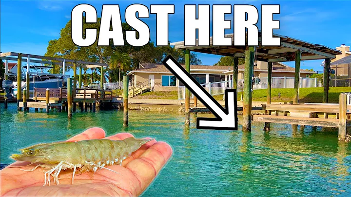 Fishing Docks With Live Shrimp For Sheepshead And Snapper!