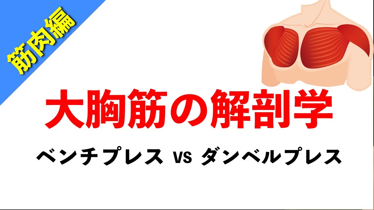 【柔道整復師が教える解剖学】大胸筋の構造とトレーニング方法【タロ塾＃28】
