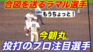 ラマル君がナイスガイ過ぎる！今朝丸選手とのライバル対決後にグランド上で笑顔で話し掛ける！※吹き出しは妄想です！