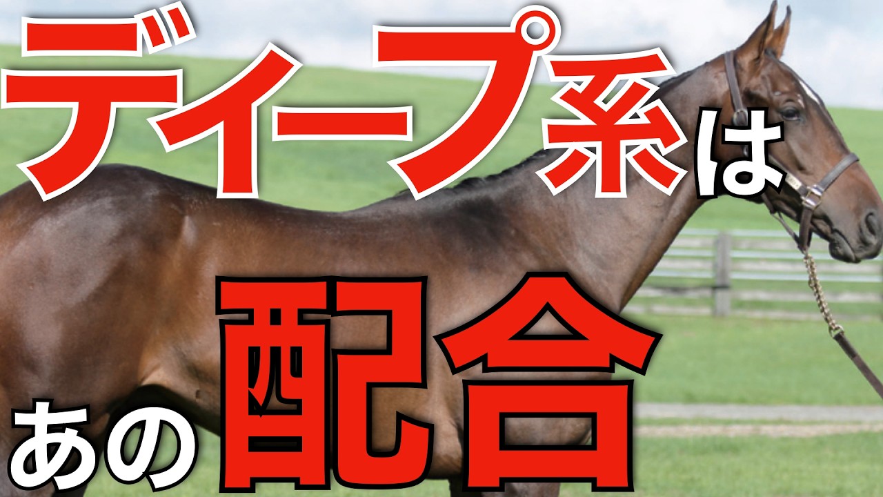 やはりディープ系にはこの配合が最適か？ワールドプレミアから見える傾向とは。