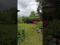 наконец-то купили дачу