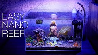 http://ReefBuilders.com is the source for all your reef aquarium news - the latest on exotic fish, rare corals and hot new aquarium 