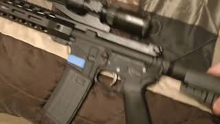 Problems with Palmetto State Armory AR 15 pistol