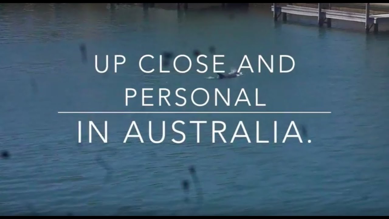 facts management up close and personal in Australia