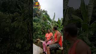 Morning Breeze & Lovie Vibes