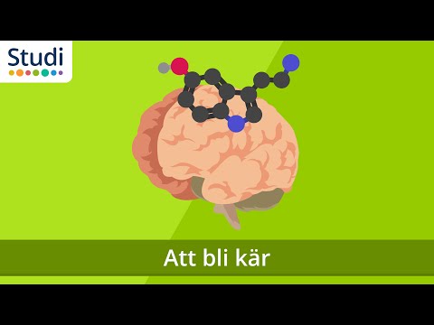 Video: Bli Kär På 4 Minuter. Trepenny Psykologi