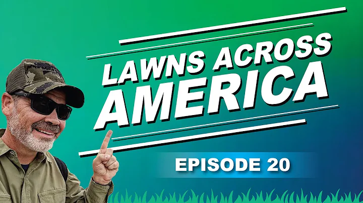 Brown Spots In Lawn | Lawn Fungus and Disease Cure | Dead Spots Lawn Could Be LAA20