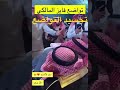 فايز المالكي و تجسيد التواصع