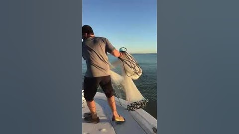 How to throw a 12 foot cast net. Easy