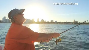 Captain+Bouncer+Smith HD