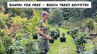 Bonsai for Free - Revisit of Beech Trees Project