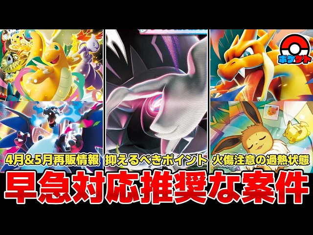Pokémon TCG] Urgent Action Recommended: New Set 