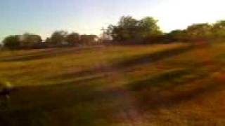 Cub scouts play disc golf