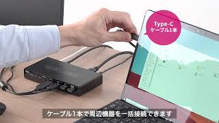 【ドッキングステーション】Type-C/HDMI接続対応パソコン切替器(2台切替・KVMスイッチ・HDMI・Type-C・PD給電対応・USBキーボード・USBマウス・USB機器) 400-SW037