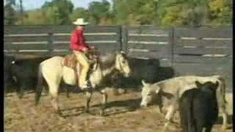 Peter Campbell "Cow Worrking" DVD