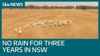 Australian farmers facing Day Zero in land where it hasn't rained for three years | ITV News