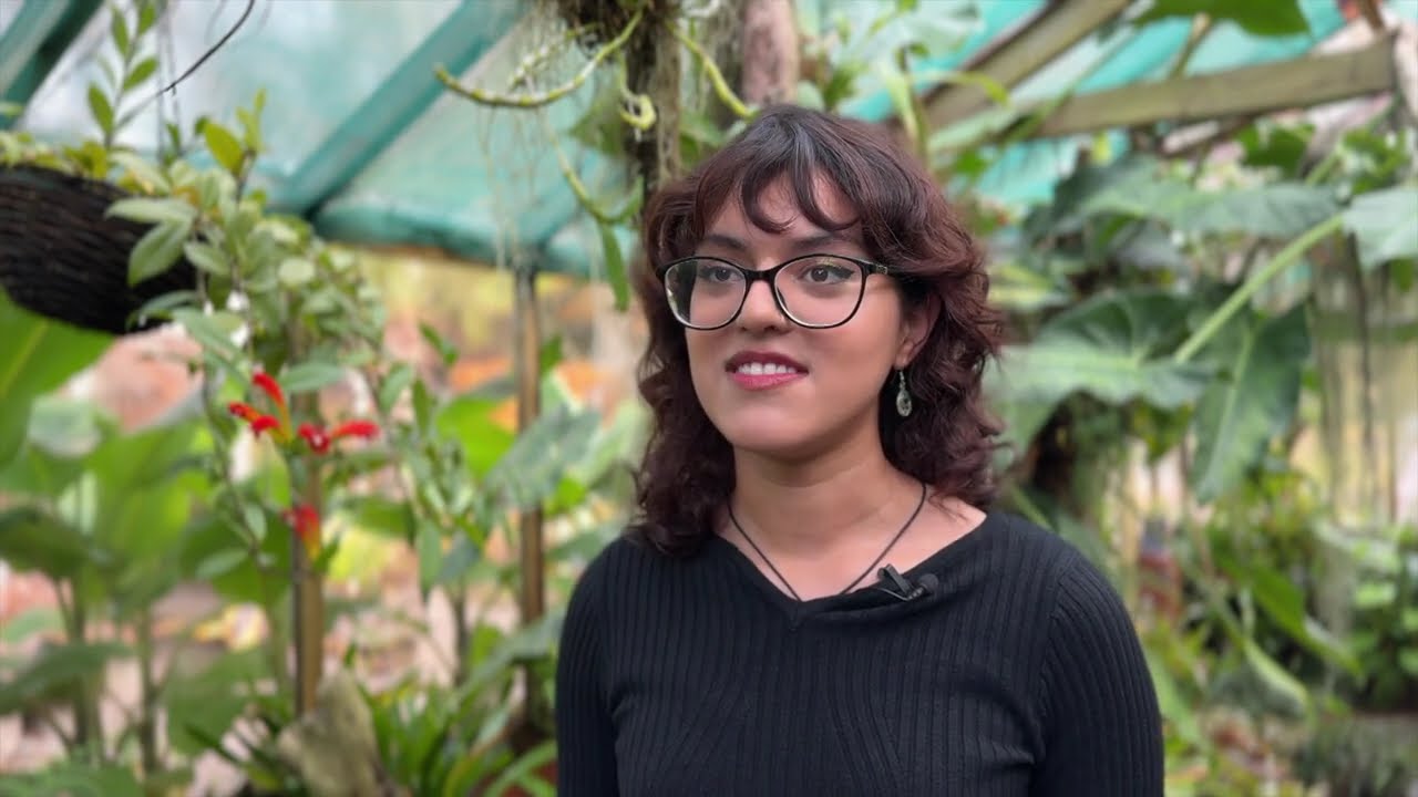 Почему студенты из Бирмингема едут на COP30 в Бразилию