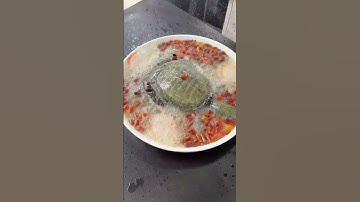 The Mastery of Chinese Culinary Genius #Cooking Video