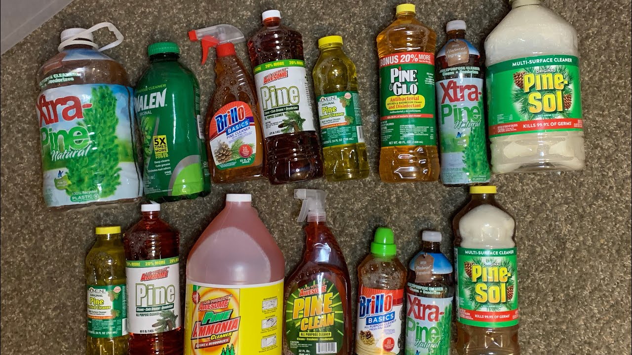 ASMR PINE BUCKET 🌲🤤🤎