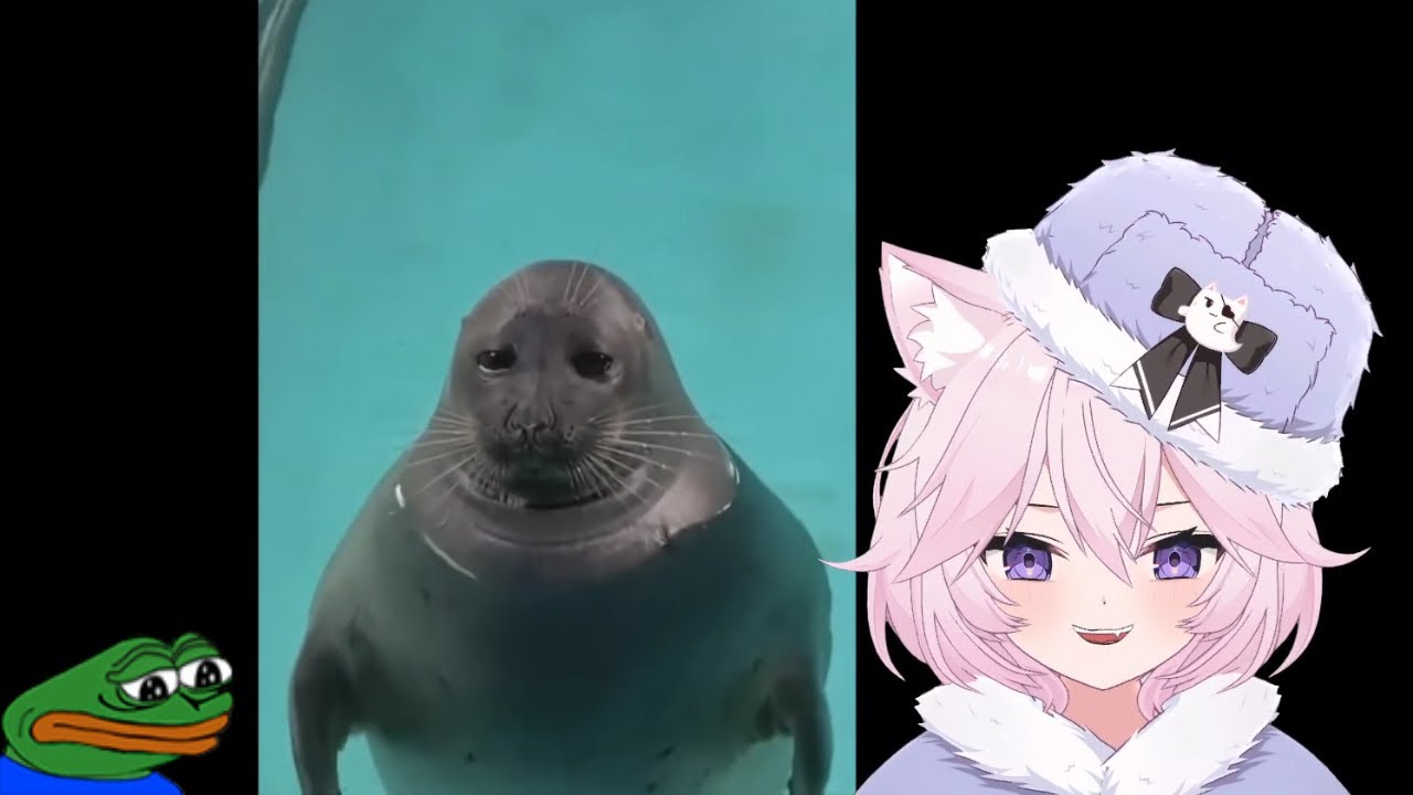 Nyanners Reacts to Unusual Memes V170