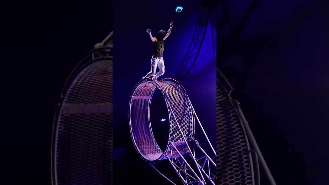 Международное шоу Демидовых! Промо-ролик