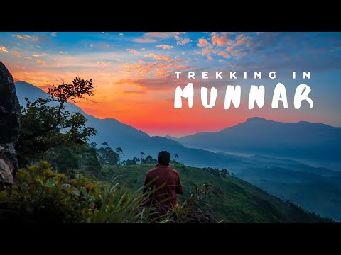 Trekking in Munnar, Kerala | Episode 2