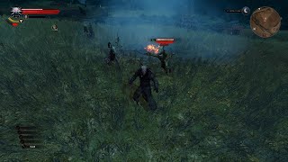 The Witcher 3: Brunwich abandoned site Details