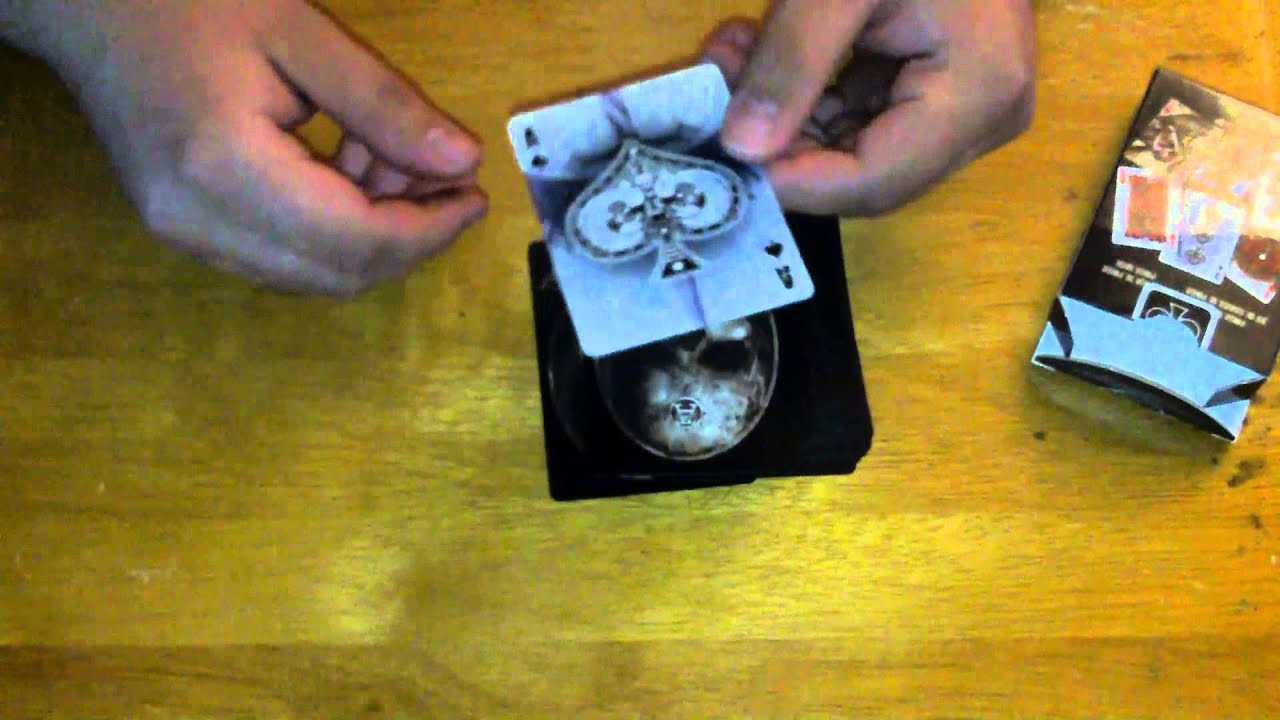 ♤|- Portal -|♤ -- [Revealed]