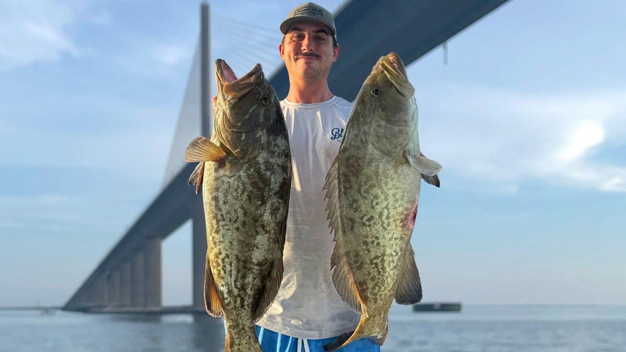 How to Catch Shallow Water Gag Grouper Offshore of Tampa Bay for the 2025 Season