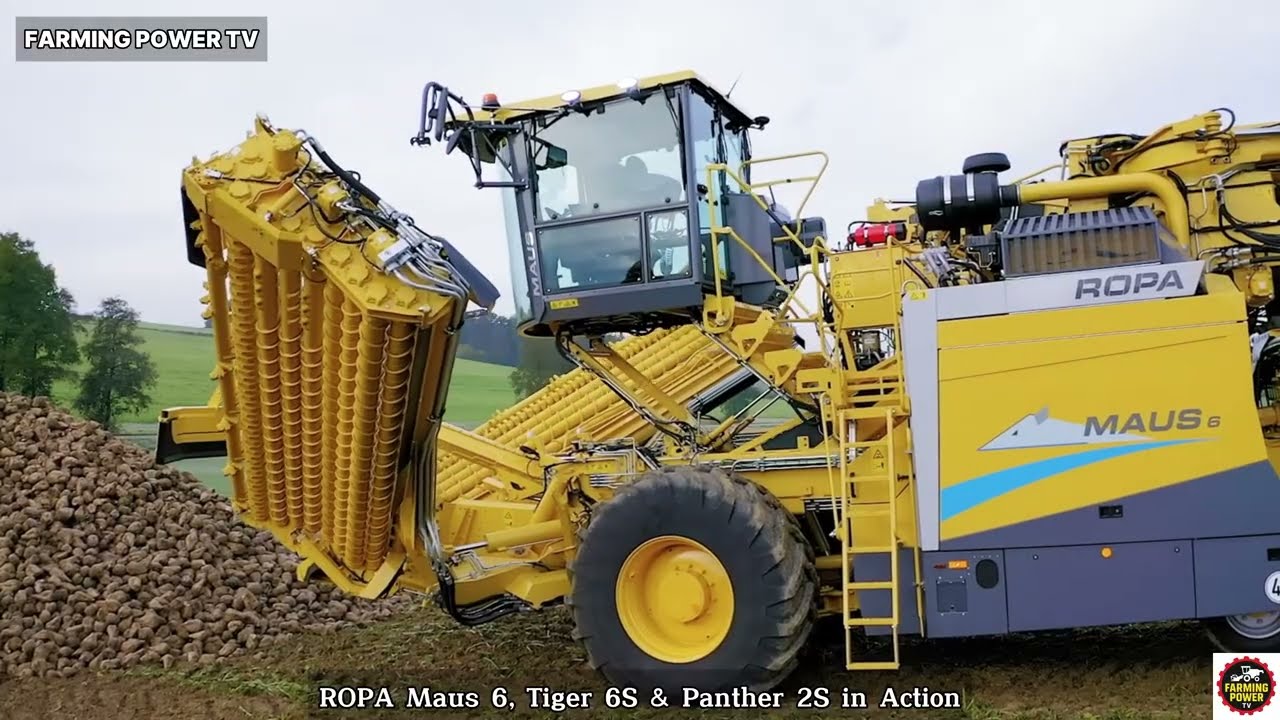 ROPA Maus 6, Tiger 6S in Action | Farming Power TV