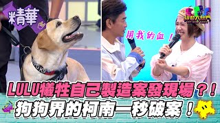 【LULU為了測試血跡偵蒐犬不惜現場放血這集的節目怎麼犧牲者那麼多】綜藝大熱門 精華