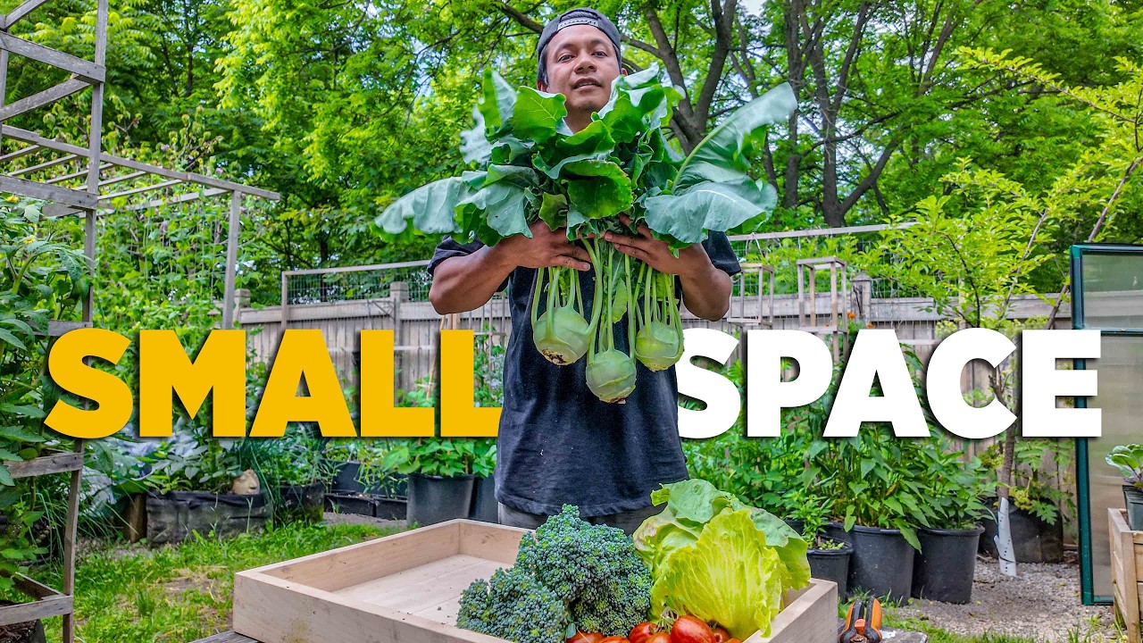 How Much Food Can One Small Elevated Bed Actually Grow?