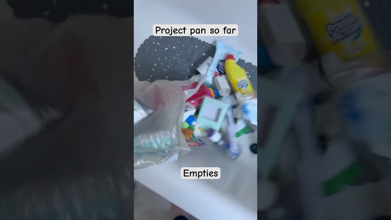 ✨ Satisfying Project Pan Progress!🧴🛁 