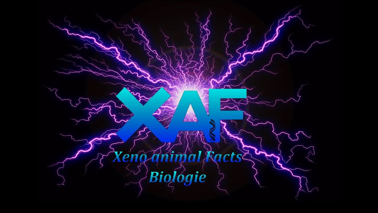 XAF Biologie 01 Les ampoules de Lorenzini YouTube