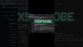 Celebrity XSSProbe Tool 🔥 Python XSS Scanner DOM XSS Detection Bug Bounty & Pentesting part 2 Profile