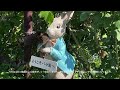 二宮家バラ園2023（2024年作成）