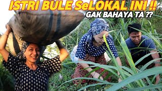 Download Lagu Ngarit Buat MELISSA mah Sudah Biasa! Kulitnya aja yg Bule ! MP3