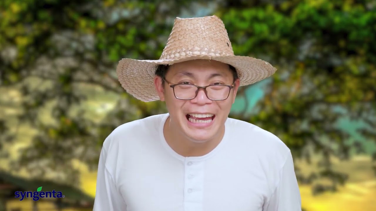 Harvesting, Post Harvest, & Storage | Syngenta PH