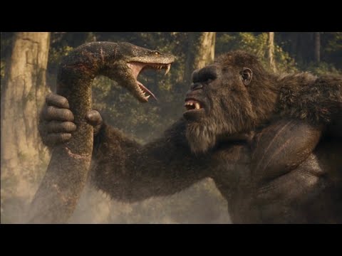 King Kong Full Fight in 4K 60FPS 🎬                                        #usa #us #usashorts 