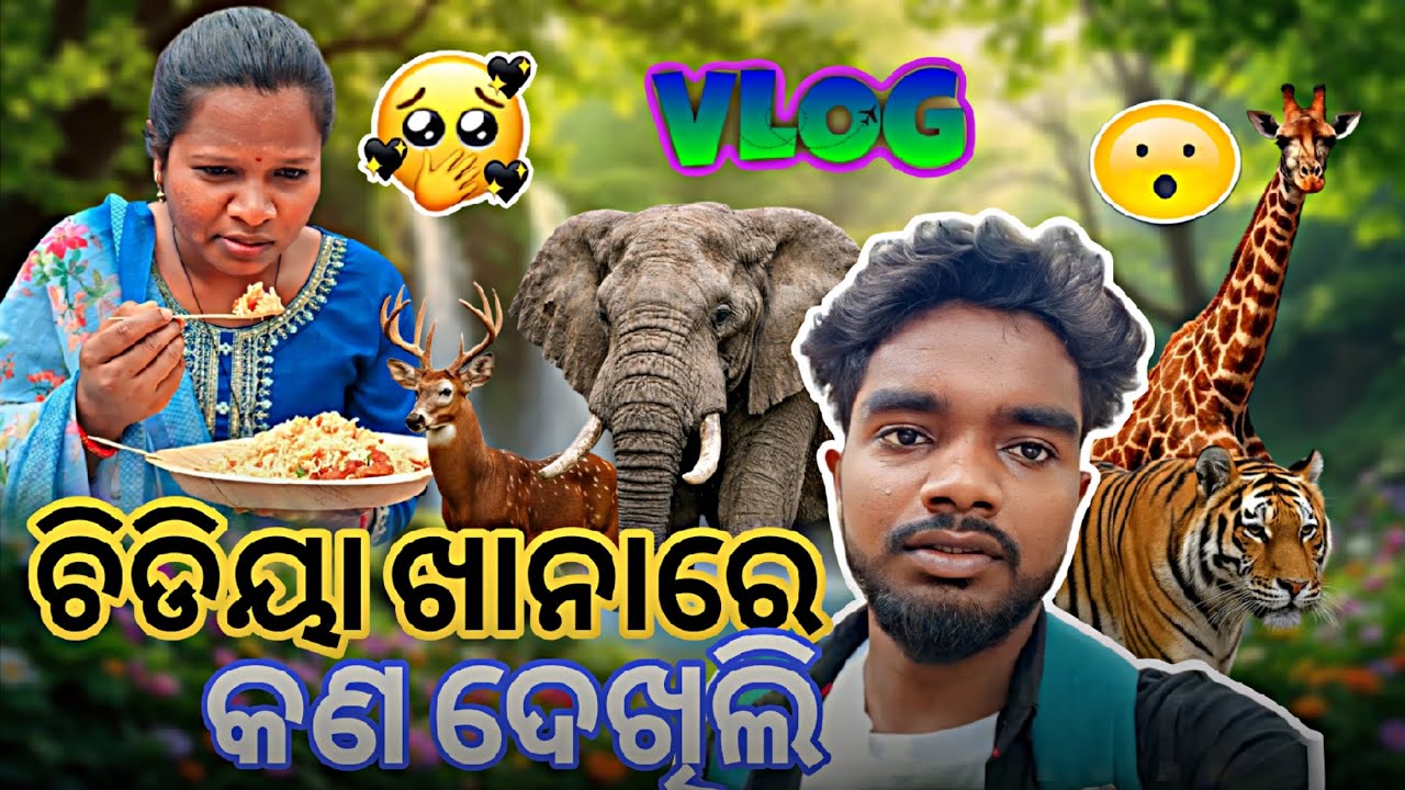 ଚିଡିୟା ଖାନାରେ କଣ ଦେଖିଲି।। What did I see in Chidia Khana?।। #zoo #vlog #papuvlog38#viral  