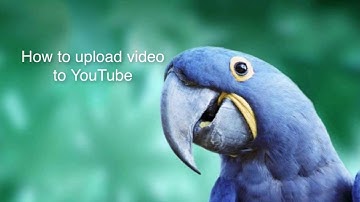 Callnote Tutorial: How To Upload Your Video Recording To YouTube
