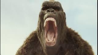 King Kong Roar 2017