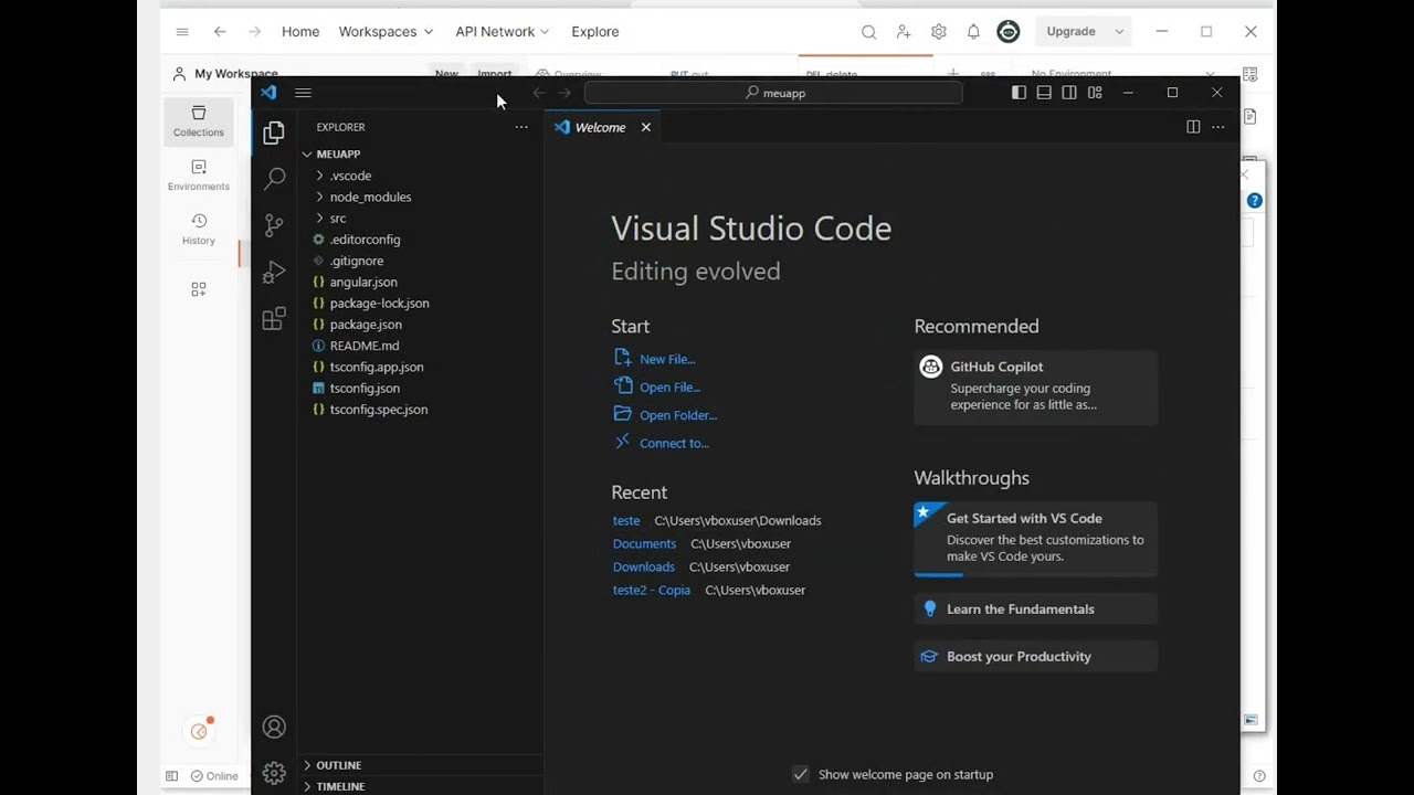 AULA 1   O QUE É PARA QUE SERVE E USO  DO POSTMAN + CRIAÇÃO DE API SIMULADA
